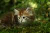 img_9671_small.jpg