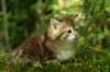 img_9675_small.jpg