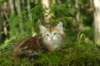 img_9700_small.jpg