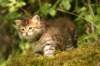 img_7461_small.jpg