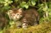 img_7462_small.jpg