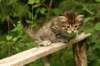 img_7469_small.jpg