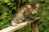 img_7471_small.jpg