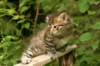 img_7476_small.jpg