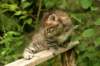 img_7477_small.jpg