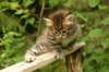 img_7478_small.jpg