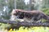 janessa11viikkoa4811_small.jpg