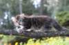 janessa11viikkoa4813_small.jpg