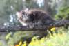 janessa11viikkoa4819_small.jpg