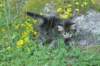 joanna55viikkoa27619_small.jpg