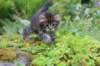 joanna7viikkoa8716_small.jpg