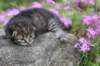 joellegirln2319_small.jpg