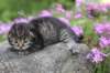 joellegirln2321_small.jpg