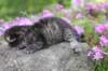 joellegirln2323_small.jpg