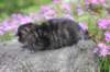joellegirln2324_small.jpg
