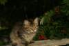 img_7267_small.jpg