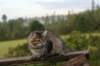 img_7711_small.jpg