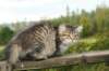 img_7726_small.jpg