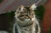 img_7751_small.jpg