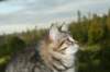 img_7764_small.jpg