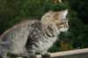 img_7768_small.jpg