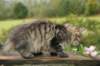 img_7892_small.jpg