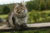 img_7978_small.jpg