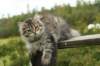 img_7991_small.jpg