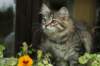 img_8003_small.jpg