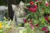 img_8011_small.jpg