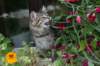 img_8012_small.jpg