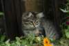 img_8026_small.jpg