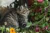 img_8031_small.jpg