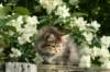 img_4610_small.jpg
