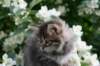 img_4652_small.jpg