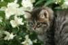 img_4661_small.jpg