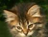img_5562_small.jpg