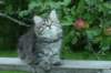 img_6490_small.jpg
