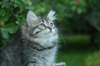 img_6510_small.jpg