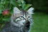 img_6516_small.jpg