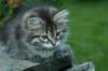 img_6522_small.jpg