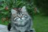 img_6523_small.jpg