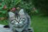 img_6524_small.jpg