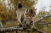 img_8585_small.jpg