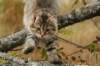 img_8608_small.jpg
