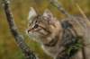 img_8732_small.jpg
