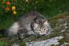 img_8759_small.jpg
