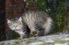 img_8761_small.jpg