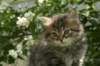 johanna14_small.jpg