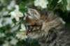 img_4751_small.jpg